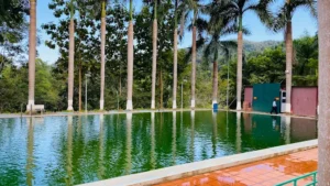 Bể bơi khoáng nóng Thanh Luông