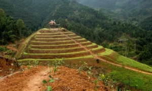 Cầu Thượng Long - Yên Lập - Phú Thọ