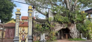 Đình làng Phú Hậu