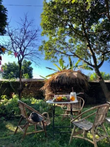 Homestay Vườn của Gấu