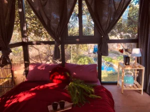 Homestay Vườn của Gấu