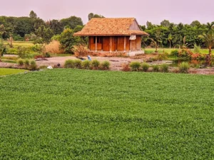 Nông Trại Tam Nông
