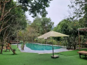 Phượng Hoàng Homestay