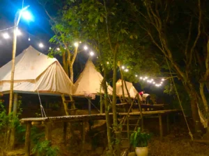 Phượng Hoàng Homestay