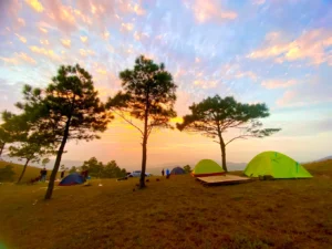 Phượng Hoàng Homestay