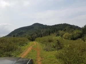 Trekking Đỉnh Viên Nam