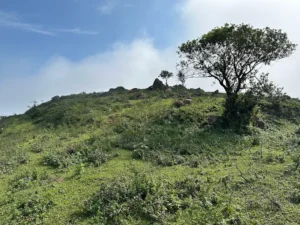 Trekking Đỉnh Viên Nam