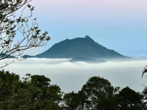 Trekking Đỉnh Viên Nam