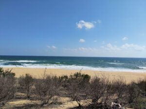 bãi biển vĩnh tuy