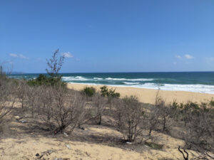 bãi biển vĩnh tuy