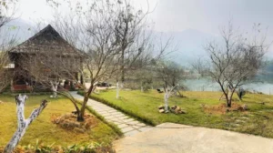 Đào Hoa Glamping Stay