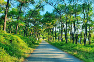 Đồi Thiên An - Huế