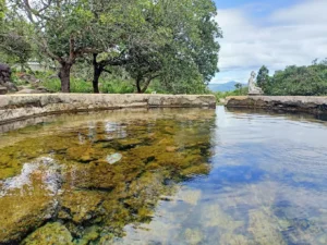 Suối nước nóng Đạ Long