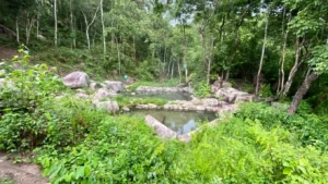 Suối nước nóng Đạ Long