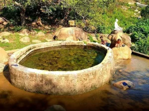 Suối nước nóng Đạ Long