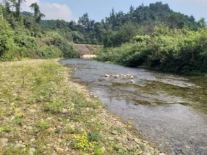 Bãi tắm Cây Sung