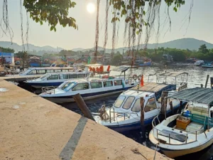 Bến Tàu Tiến Triển