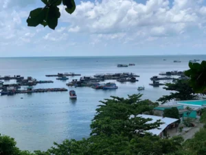 Bến Tàu Tiến Triển