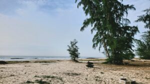 Đi Bụi Camping - Hồ Tràm