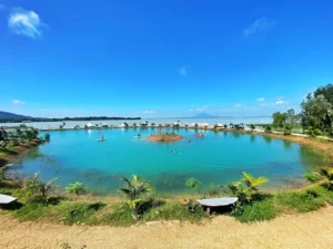 Đồng Sến Farmstay Camping