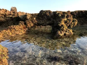 Khu Dã Ngoại Hòn Đỏ