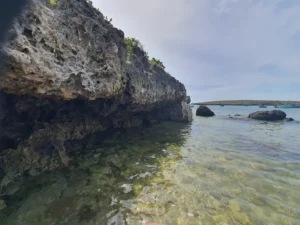 Khu Dã Ngoại Hòn Đỏ