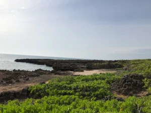 Khu Dã Ngoại Hòn Đỏ