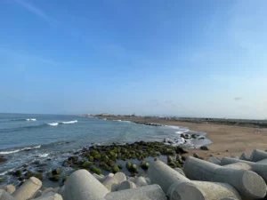 Mũi chắn sóng Sông Đà Diễn
