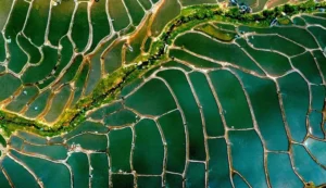 Ruộng bậc thang Long Túc