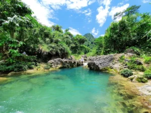 Xới Farmstay, Homefarm in the North Vietnam