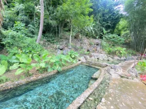 Suối Nước Nóng Bò Ấm
