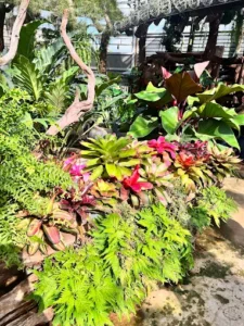 Vườn kiểng Thành Tâm