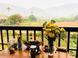 Xới Farmstay, Homefarm in the North Vietnam