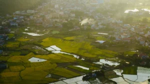 Bac Son Valley