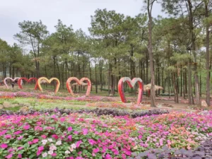 Công viên hoa Yên Trung Lake