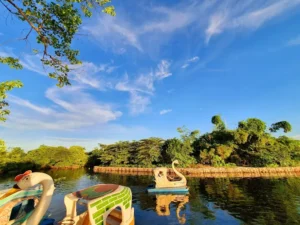 Đảo Cò Chi Lăng Nam