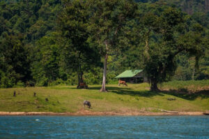 Hồ Sông Hinh (Bãi 1)