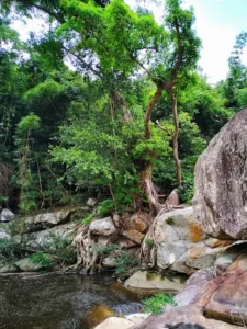 Thác Bầu - Suối Mấu