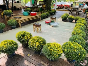 Tropical eGlamping