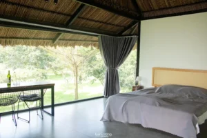 Avocado Yoga Retreat & Garden
