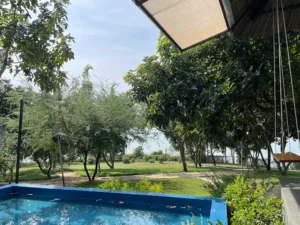 Avocado Yoga Retreat & Garden
