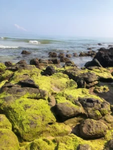 Cắm Trại Biển Mũi Trèo