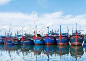 Cảng cá Đông Tác