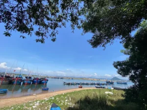 Cảng cá Đông Tác