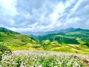 Đồi Mâm Xôi bé