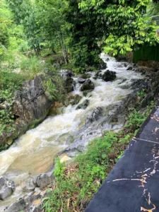 Khu sinh thái Đát Nông Tiến