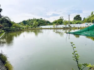 Khu sinh thái Đát Nông Tiến