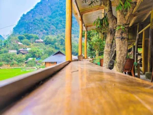 Mr. Nech Homestay