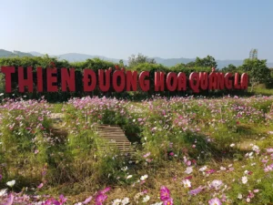 Thiên Đường Hoa Quảng La