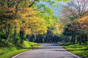 Vườn Quốc gia Ba Vì